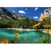 Puzzle Ravensburger Lago Verde Cerca De Tragöb de 1000 peças