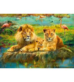 Puzzle Ravensburger Leões Na Savana de 500 Peças