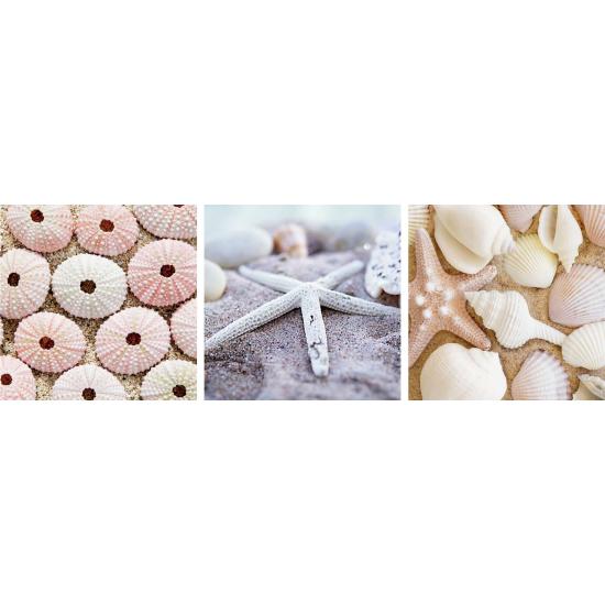 Ravensburger Puzzle As Memórias do Mar 3 x 500 Peças