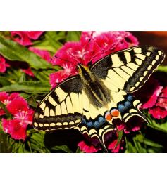Puzzle Ravensburger Borboleta 500 Peças