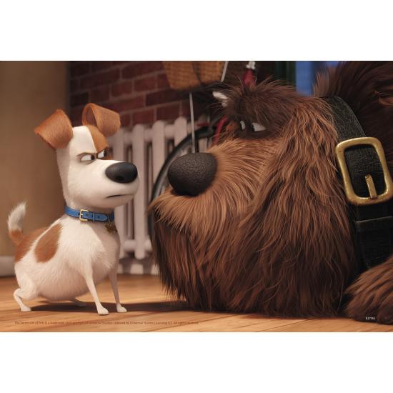 Puzzle Ravensburger Pets, finalmente sozinho 2 x 24 peças