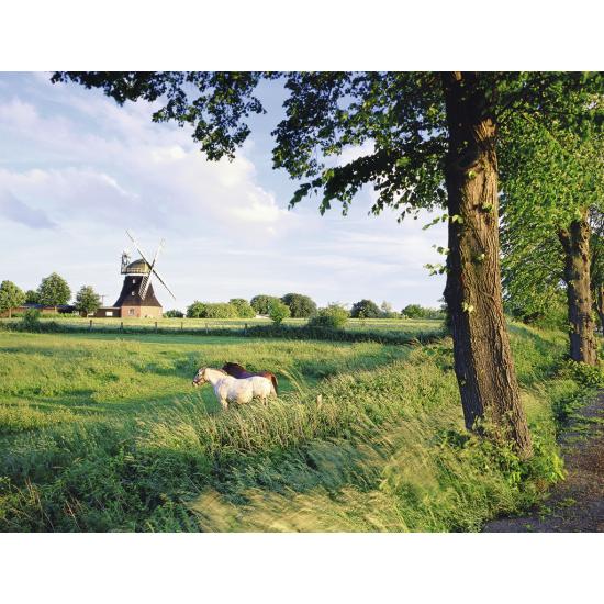 Puzzle de moinho de vento Ravensburger 2.000 peças