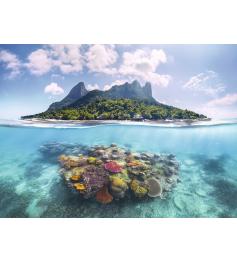 Puzzle Ravensburger Mundo Insular E Coralino 500 Peças