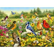 Ravensburger Puzzle Birds in the Meadow 500 peças