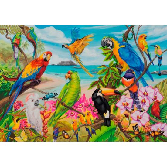 Puzzle de papagaios coloridos Ravensburger 1000 peças