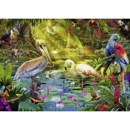 Puzzle Ravensburger Paradise Birds 1000 peças