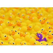 Puzzle Ravensburger Patos de borracha de 1000 peças