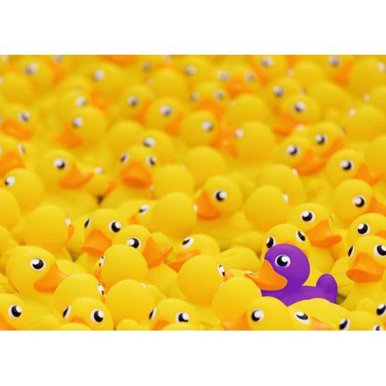 Puzzle Ravensburger Patos de borracha de 1000 peças