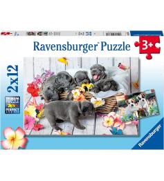 Puzzle Ravensburger Pequenas Bolas de Pelo 2x12 peças