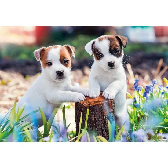 Puzzle Ravensburger Pequenas Bolas de Pelo 2x12 peças Puzzle Ravensburger Pequenas Bolas de Pelo 2x12 peças