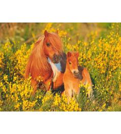 Puzzle Ravensburger Shetland Pony XXL 100 peças