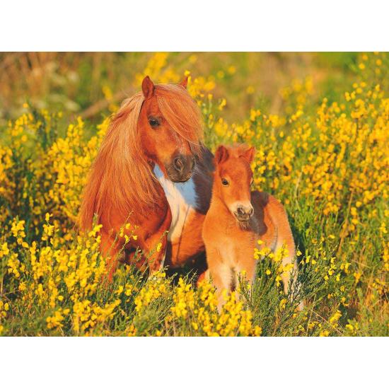 Puzzle Ravensburger Shetland Pony XXL 100 peças