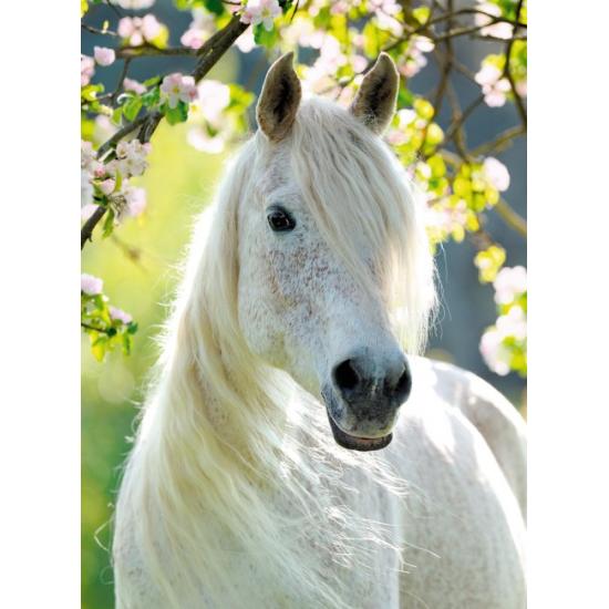 Puzzle equestre de primavera Ravensburger 500 peças