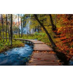Puzzle Ravensburger Trilha De Bosque Outonal de 1000 Pçs