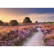 Puzzle Ravensburger Caminho Rosa de 1000 Pçs