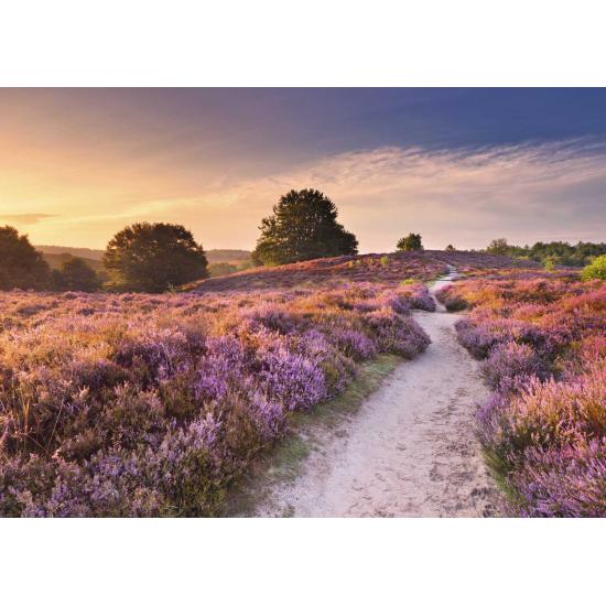 Puzzle Ravensburger Caminho Rosa de 1000 Pçs