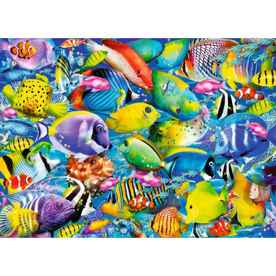 Puzzle de trânsito tropical Ravensburger 500 peças