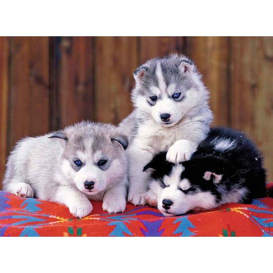 Puzzle Ravensburger três filhotes de cachorro Husky XXL 2