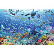 Puzzle Ravensburger Um Mundo Subaquático Colorido 3000 Pçs