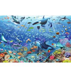 Puzzle Ravensburger Um Mundo Subaquático Colorido 3000 Pçs