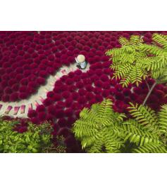 Puzzle Ravensburger Um Mar Vermelho 500 Peças