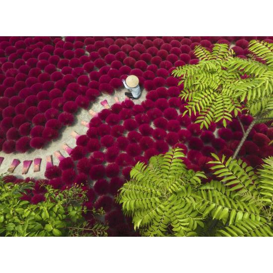 Puzzle Ravensburger Um Mar Vermelho 500 Peças