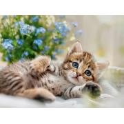 Puzzle Ravensburger Um Buquê De Doçura 500 Peças