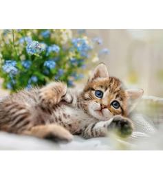 Puzzle Ravensburger Um Buquê De Doçura 500 Peças