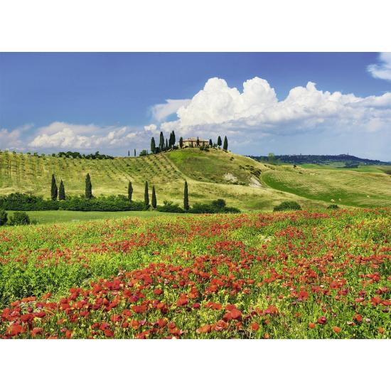 Puzzle Ravensburger Verão na Toscana 500 peças
