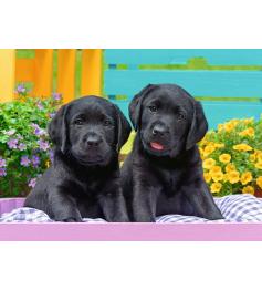 Puzzle Ravensburger Vida de Cachorro XXL de 300 peças
