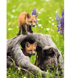 Puzzle Ravensburger Raposas Curiosas XXL 300 peças