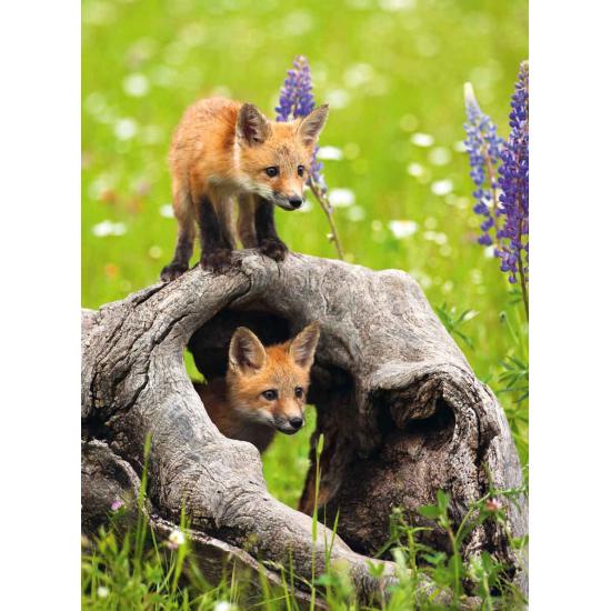 Puzzle Ravensburger Raposas Curiosas XXL 300 peças