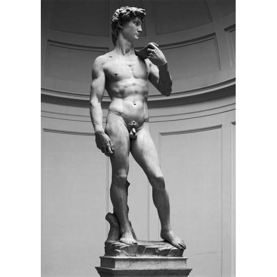 Puzzle Ricordi O Davi de 1000 Peças