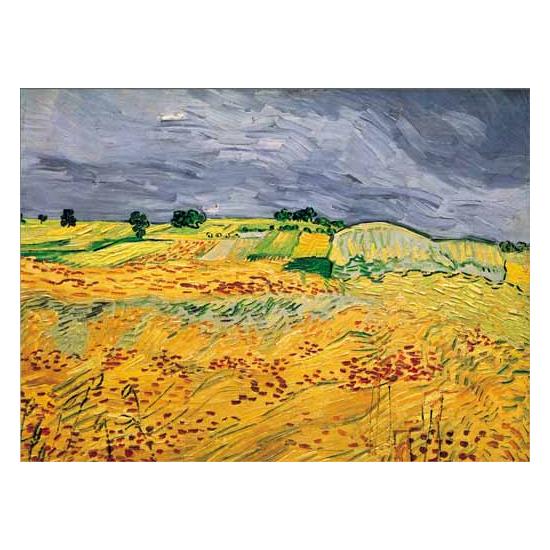 Puzzle Ricordi Os Campos de 1000 Peças