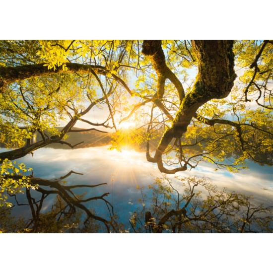 Puzzle Schmidt Golden Hug 1000 peças