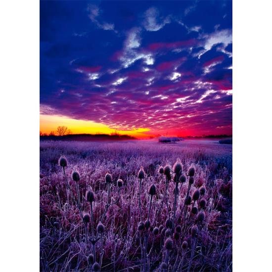 Puzzle Schmidt Sunrise de 1.000 peças