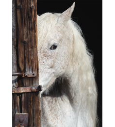 Puzzle Schmidt Equine Beauty 1000 Peças