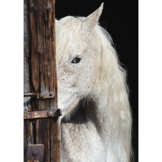 Puzzle Schmidt Equine Beauty 1000 Peças