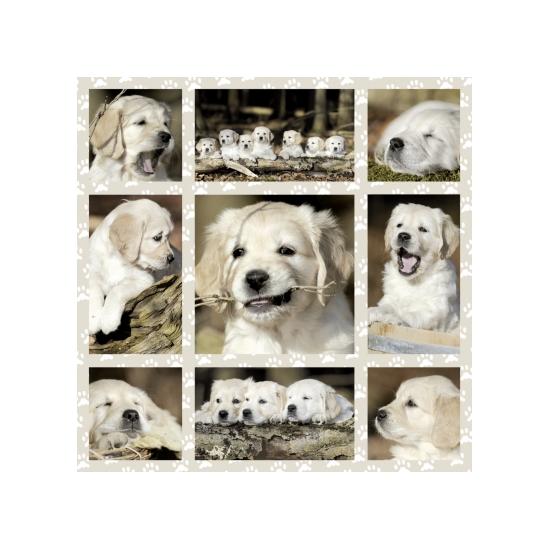 Cachorrinhos Schmidt Puzzle 1000 Peças