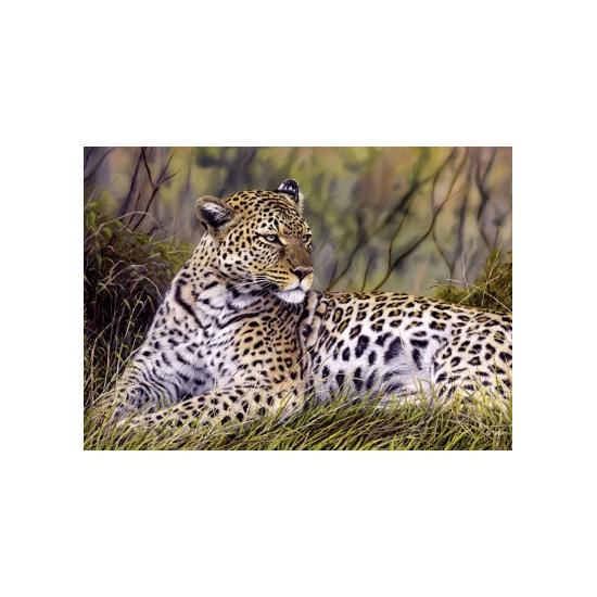 Schmidt Puzzle O Rei da Savana 1000 Peças