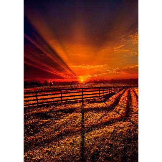 Puzzle Schmidt O Silêncio da Noite de 1000 Peças