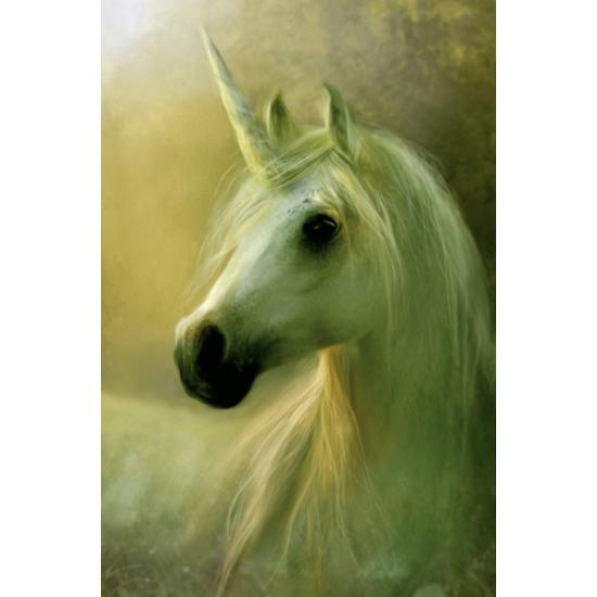 Schmidt Puzzle O Unicórnio 1000 Peças