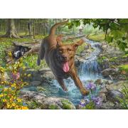 Puzzle Schmidt Primavera Com Um Labrador Retriever 1000 Pçs