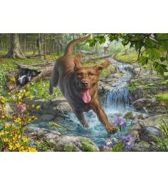 Puzzle Schmidt Primavera Com Um Labrador Retriever 1000 Pçs