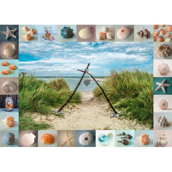Puzzle Schmidt encontrado na praia 1000 peças Puzzle Schmidt encontrado na praia 1000 peças