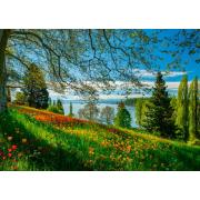 Puzzle Schmidt Tulipas florescendo, ilha Mainau de 1000 Pc