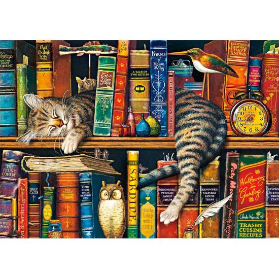 Puzzle Schmidt Frederico o Literário de 1000 Peças