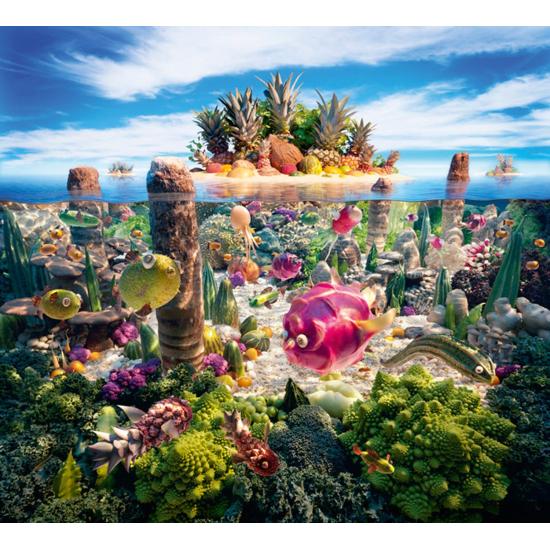 Puzzle urbano Schmidt South Island 1000 peças