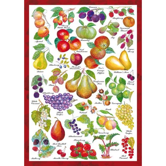 Jardim de Frutas Schmidt Puzzle 1000 Peças