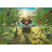 Puzzle Schmidt Um Labrador Chocolate Dá Um Mergulho Refrescante